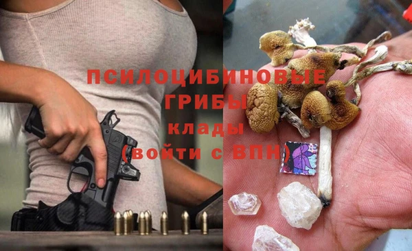 мяу мяу мука Балабаново