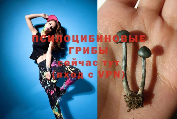 молекула духа Баксан